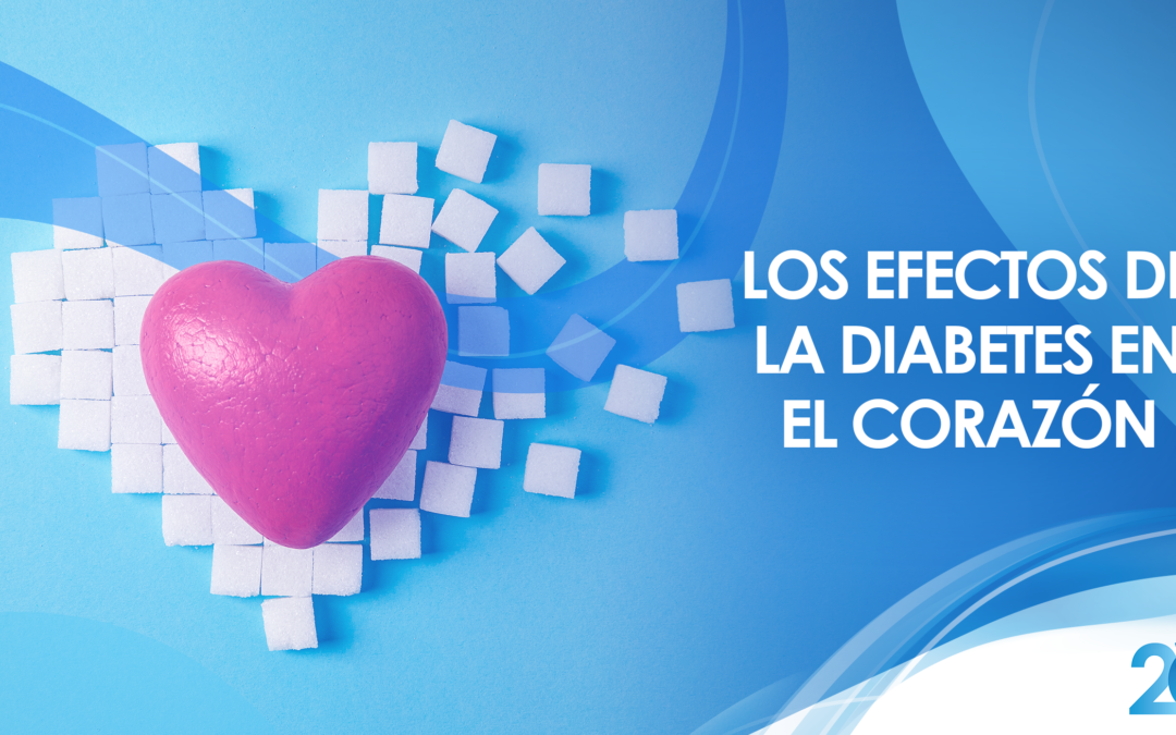 Los Efectos de la Diabetes en el Corazón